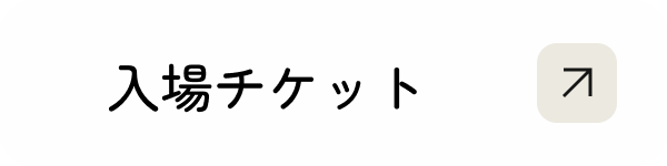 入場チケット
