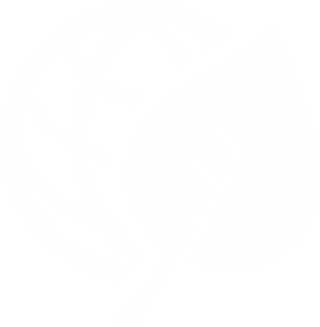 環境配慮建物事業